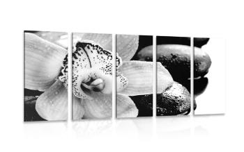 5-częściowy obraz egzotyczna orchidea w wersji czarno-białej - 100x50