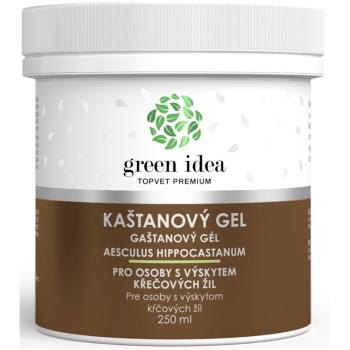 Green Idea Massage gel Chestnut żel do masażu żył 250 ml