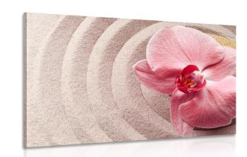 Obraz piasek morski i różowa orchidea - 60x40