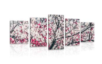 5-częściowy obraz kwiaty brzoskwini - 100x50