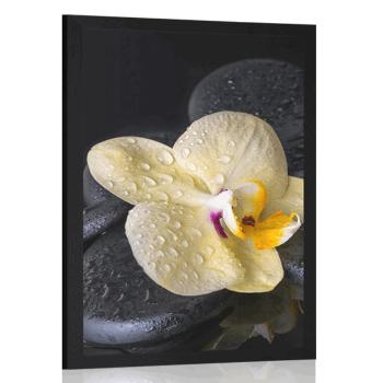 Plakat Kamienie Zen z żółtą orchideą - 40x60 white