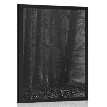 Plakat ścieżka w lesie w czerni i bieli - 60x90 white