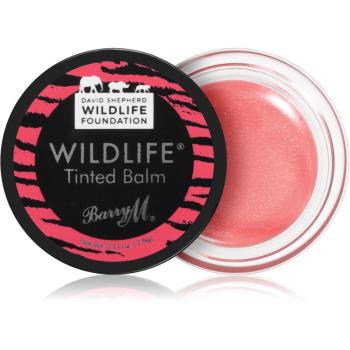Barry M Wildlife tonujący balsam do ust odcień Sunset Pink 3.6 g