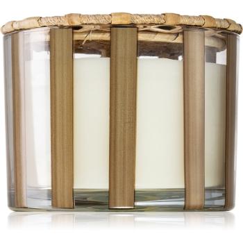 Paddywax Al Fresco Cotton & Teak świeczka zapachowa 340 g