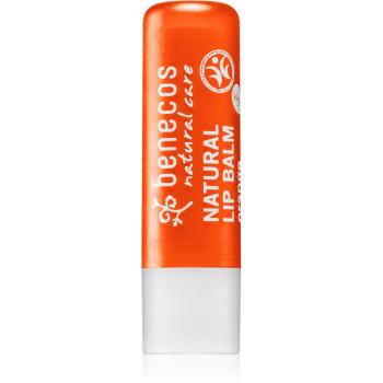 Benecos Natural Care balsam do ust z zapachem Orange 4.8 g
