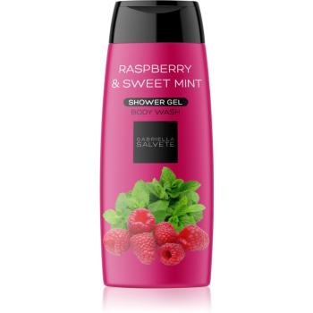 Gabriella Salvete Shower Gel Raspberry & Sweet Mint odświeżający żel pod prysznic dla kobiet 250 ml
