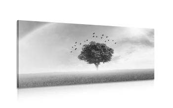 Obraz samotne drzewo na łące w wersji czarno-białej - 120x60