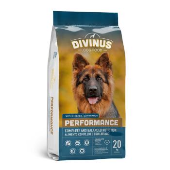 DIVINUS Performance dla owczarka niemieckiego i aktywnych psów 20 kg