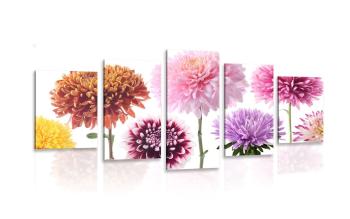 5-częściowy obraz kwiaty dalii w różnych wzorach - 200x100