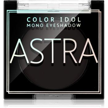 Astra Make-up Color Idol Mono Eyeshadow cienie do powiek odcień 10 R&B(lack) 2,2 g