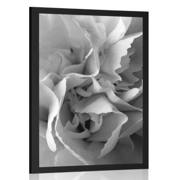 Plakat płatki goździków w czerni i bieli - 60x90 white