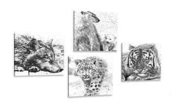 Zestaw obrazów zwierzęta w czarno-białej akwareli - 4x 40x40