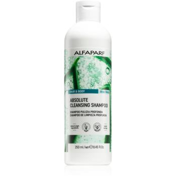 Alfaparf Milano Hair & Body Aloe Vera szampon oczyszczający do ciała i włosów 250 ml