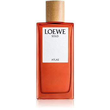 Loewe Solo Atlas woda perfumowana dla mężczyzn 100 ml