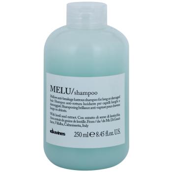 Davines Essential Haircare MELU Shampoo delikatny szampon do włosów słabych i zniszczonych 250 ml