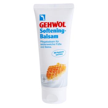 Gehwol Classic balsam pielęgnujący dla jedwabiście gładkich nóg i stóp 125 ml