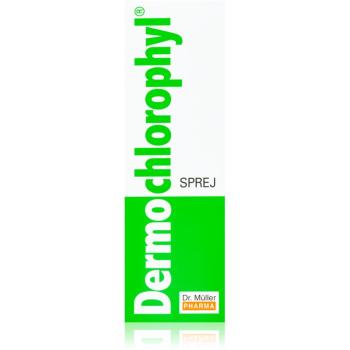 Dr. Müller DermoChlorophyl® spray przyspieszający gojenie 50 ml
