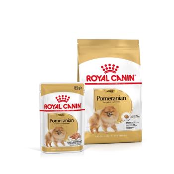 ROYAL CANIN Pomeranian Adult 1.5 kg karma sucha dla psów dorosłych rasy szpic miniaturowy + Pomeranian Adult 12x85g karma mokra