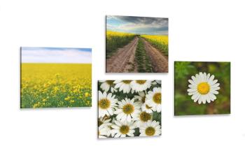 Zestaw obrazów łąka pełna kwiatów - 4x 40x40