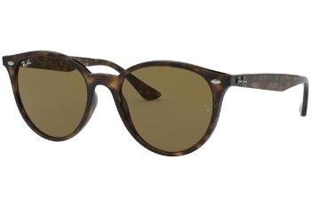 Ray-Ban RB4305 710/73 ONE SIZE (53)