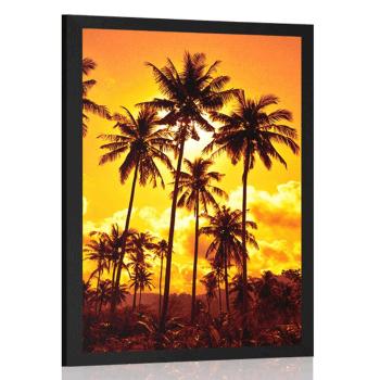 Plakat palmy kokosowe na plaży