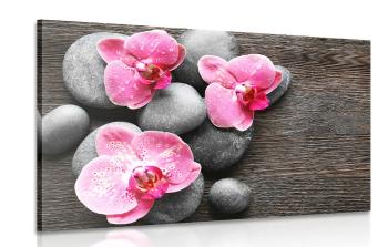 Obraz elegancka kompozycja z kwiatami orchidei - 90x60