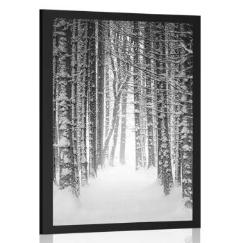 Plakat las pokryty śniegiem w czerni i bieli