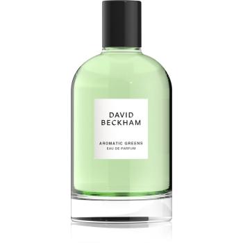 David Beckham Aromatic Greens woda perfumowana dla mężczyzn 100 ml