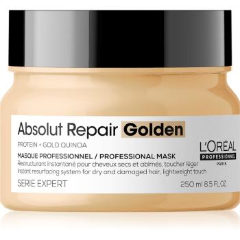 L’Oréal Professionnel Serie Expert Absolut Repair maseczka regenerująca do włosów suchych i zniszczonych 250 ml