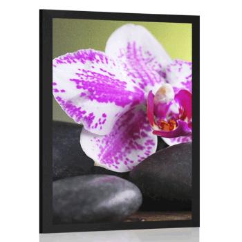 Plakat orchidea i czarne kamienie - 30x45 white