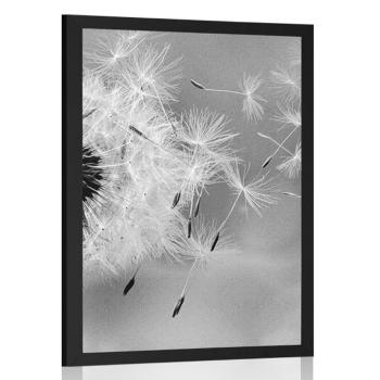 Plakat magiczny mniszek w czerni i bieli - 60x90 white