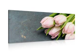 Obraz pastelowe różowe tulipany - 100x50
