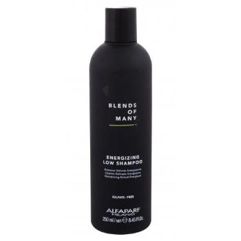ALFAPARF MILANO Blends Of Many Energizing 250 ml szampon do włosów dla mężczyzn