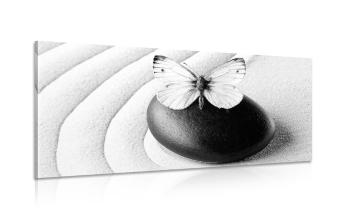 Obraz kamień zen z motylem w wersji czarno-białej - 120x60