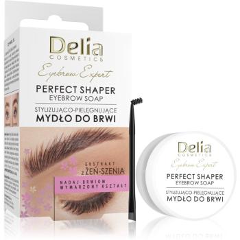 Delia Cosmetics Eyebrow Expert Perfect Shaper mydło do brwi 10 ml