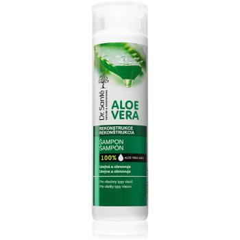 Dr. Santé Aloe Vera szampon wzmacniający z aloesem 250 ml