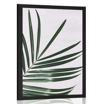 Plakat piękny liść palmowy - 30x45 black