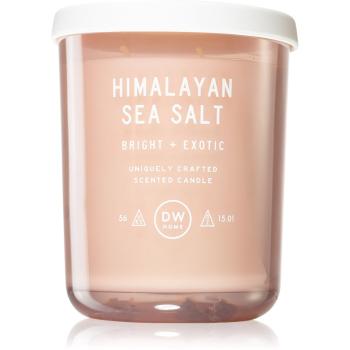 DW Home Text Himalayan Sea Salt świeczka zapachowa 425 g