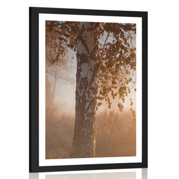 Plakat z passe-partout mglisty jesienny las - 30x45 silver