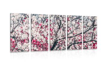5-częściowy obraz kwiaty brzoskwini - 100x50