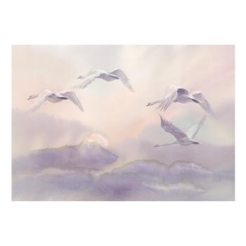 Tapeta wielkoformatowa Bimago Flying Swans, 400x280 cm