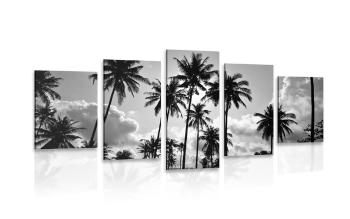 5-częściowy obraz palmy kokosowe na plaży w wersji czarno-białej - 100x50