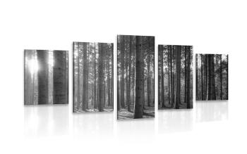 5-częściowy obraz poranek w lesie w wersji czarno-białej