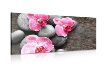 Obraz harmonijna kompozycja z kwiatami orchidei - 100x50