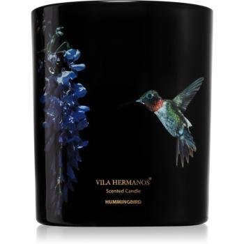 Vila Hermanos Jungletopia Hummingbird świeczka zapachowa 200 g