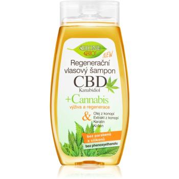 Bione Cosmetics Cannabis CBD szampon regenerujący z CBD 260 ml