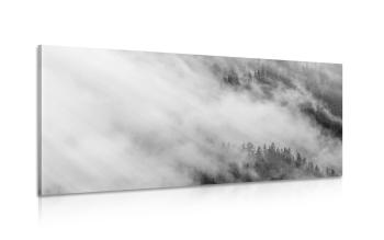 Obraz czarno-biały mglisty las - 120x60