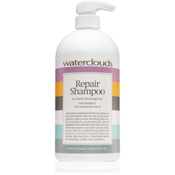 Waterclouds Repair Shampoo łagodna szampon pielęgnujący 1000 ml