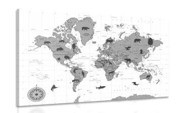 Obraz mapa ze zwierzętami w wersji czarno-białej