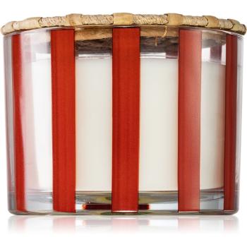 Paddywax Al Fresco Rosewood Vanilla świeczka zapachowa 340 g